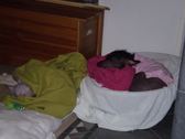 Enlarge photo 14