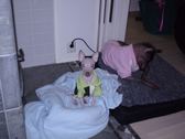 Enlarge photo 11