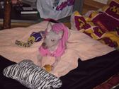 Enlarge photo 9
