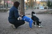 Enlarge photo 18