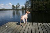 Enlarge photo 12