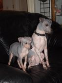 Rosa and Taavi
