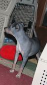 Enlarge photo 10