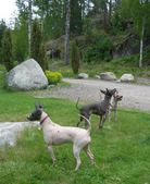 Enlarge photo 39