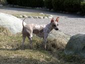 Enlarge photo 22