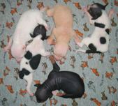 Enlarge photo 7