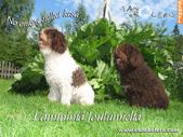 Enlarge photo 23