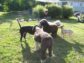 Enlarge photo 10