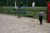Terrier Racing