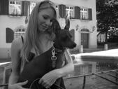 Enlarge photo 16