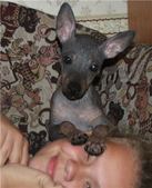Enlarge photo 14