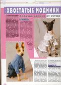 Magazine