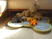 Enlarge photo 5