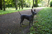 Enlarge photo 7