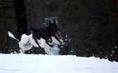 Enlarge photo 16