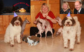 Enlarge photo 23