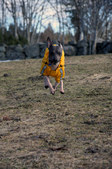 Enlarge photo 4