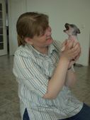 Enlarge photo 2