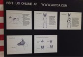 Enlarge photo 29