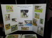 Pet Expo