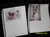 Enlarge photo 12