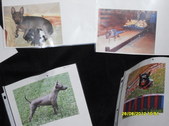 Enlarge photo 13