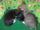 Enlarge photo 14