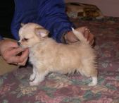 Enlarge photo 12