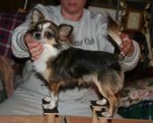 Enlarge photo 5