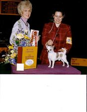 Enlarge photo 32