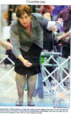 Enlarge photo 35