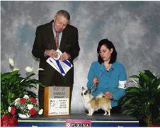 Enlarge photo 23