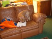 Enlarge photo 3