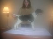 Enlarge photo 16