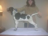 Enlarge photo 15