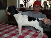 Enlarge photo 14