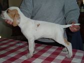 Enlarge photo 18