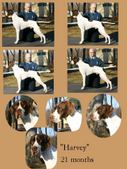 Enlarge photo 19
