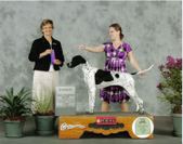 Enlarge photo 11