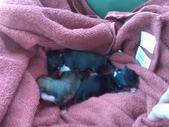 Enlarge photo 2