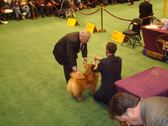 Enlarge photo 14