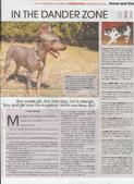 Enlarge PDF 2