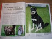 Enlarge photo 8