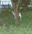 Enlarge photo 34