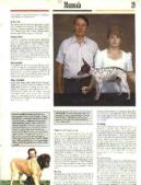 Enlarge photo 29