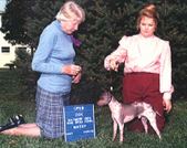 Enlarge photo 39
