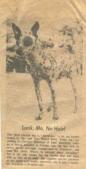 Enlarge photo 25