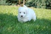 Enlarge photo 115