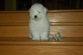 Enlarge photo 127