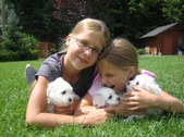 Enlarge photo 120